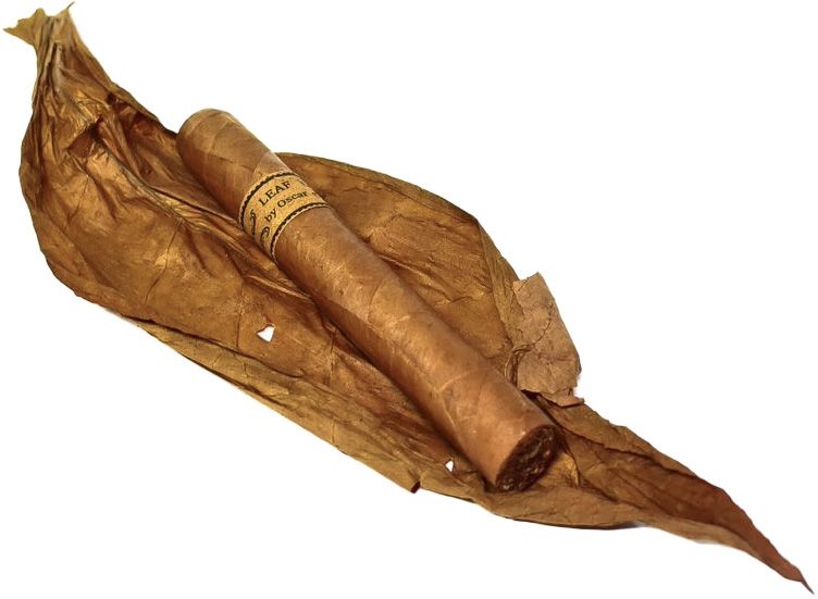Leaf by Oscar Connecticut Toro Single (pk/20)