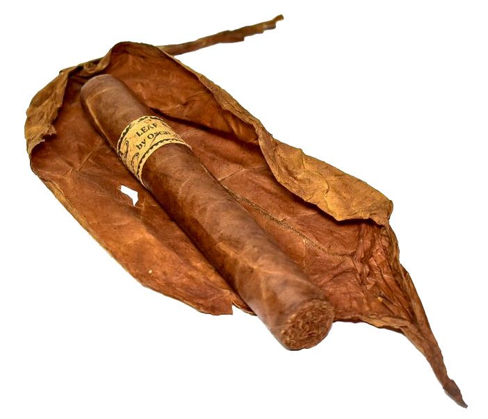 Leaf by Oscar Corojo Toro Single (pk/20)