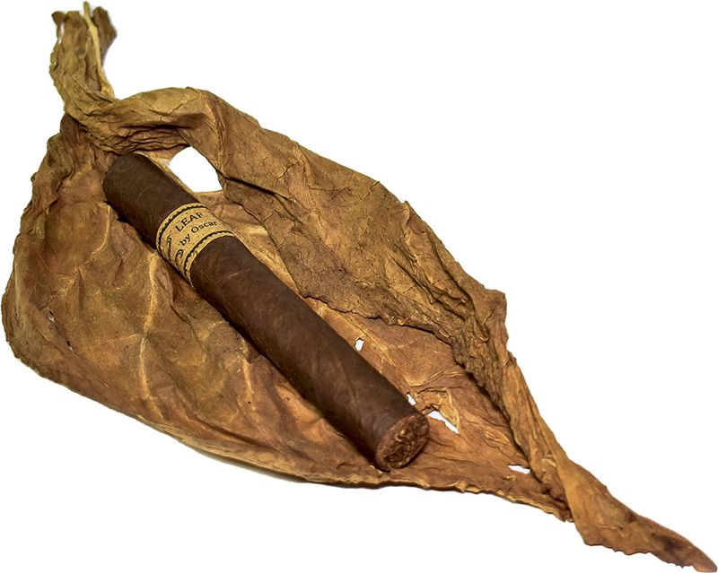 Leaf by Oscar Maduro Toro Single (pk/20)