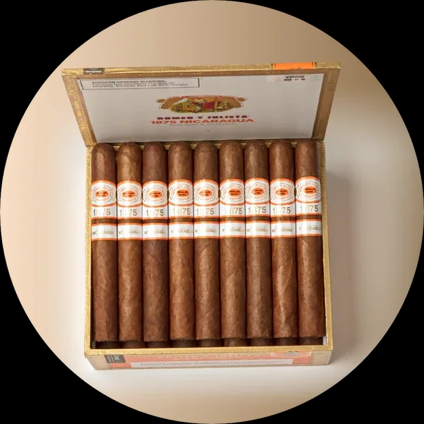 Romeo y Julieta 1875 Nicaragua Petit Bully (tn/5)