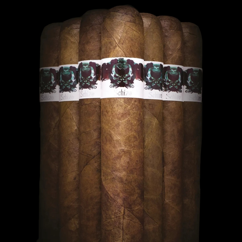 Asylum Schizo 50x6 (bd/20) Single