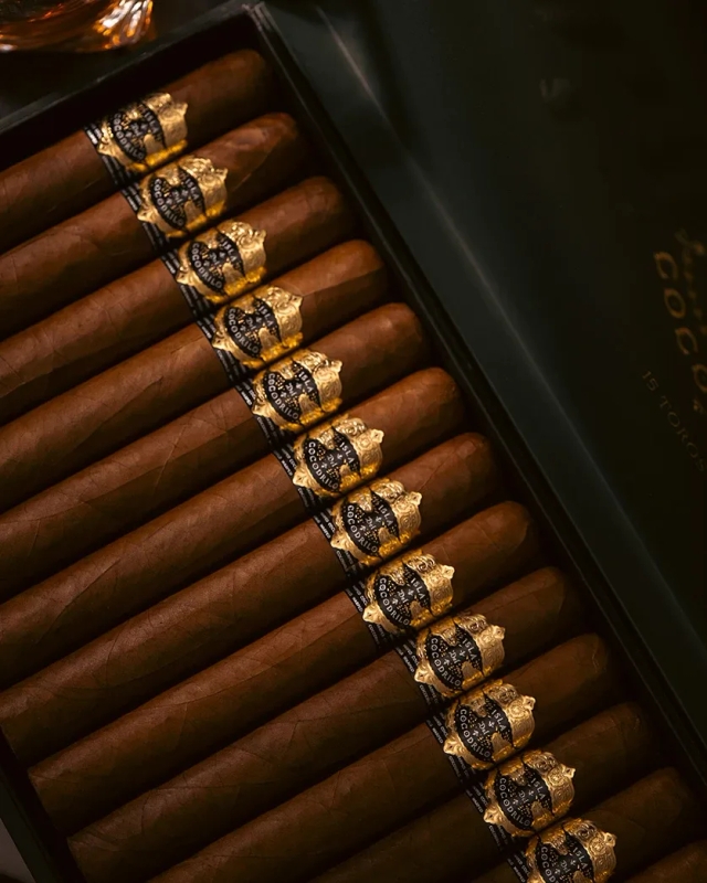 Warped Isla Cocodrilo Toro (6.0x52) | SINGLE