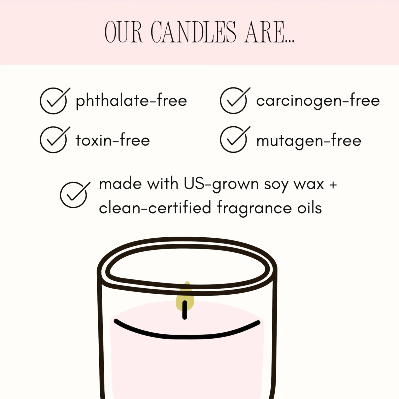 Silly Goose Baby Shower Favor Personalized Candle Bulk