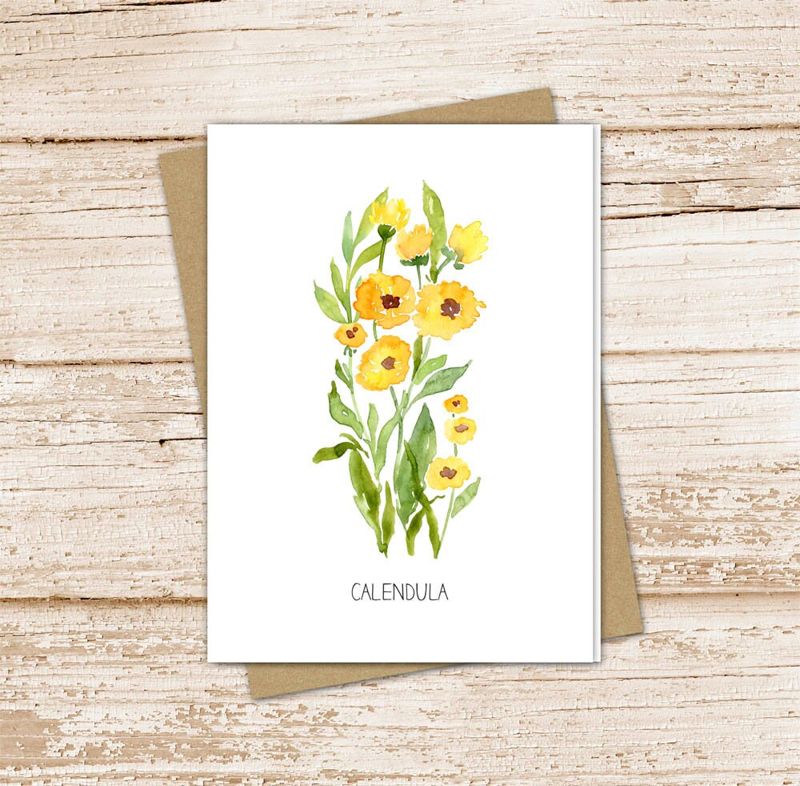 calendula card set .  watercolor flowers . october birth month  floral note cards . botanical nature garden . blank cards, folded stationery