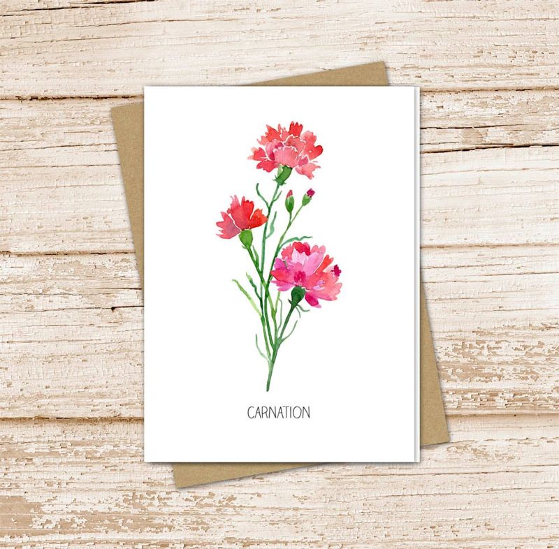 carnation card set .  watercolor floral . january birth month flower note cards . botanical nature garden . blank cards, folded stationery