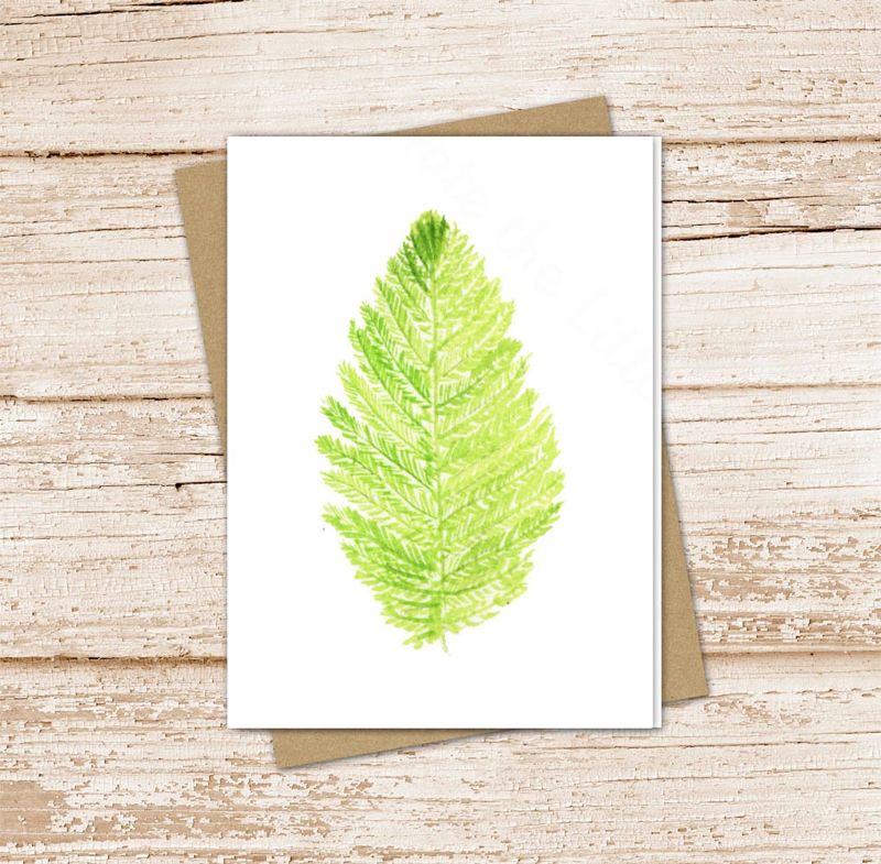 fern leaf card set .  watercolor note cards . evergreen, leaf, nature. blank note cards . notecards . folded stationery . stationary set