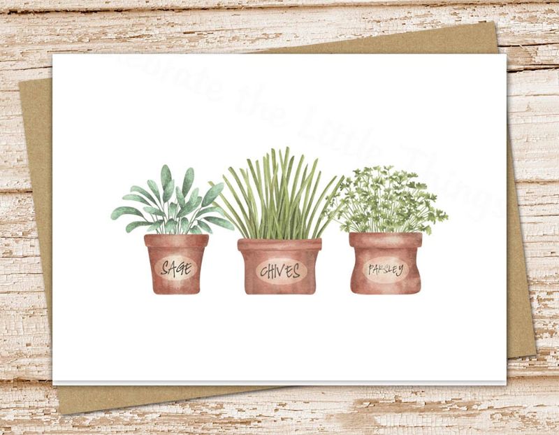 herb garden card set . cooking sage chives parsley . greeting cards notes . watercolor . folded stationary . blank cards note card set