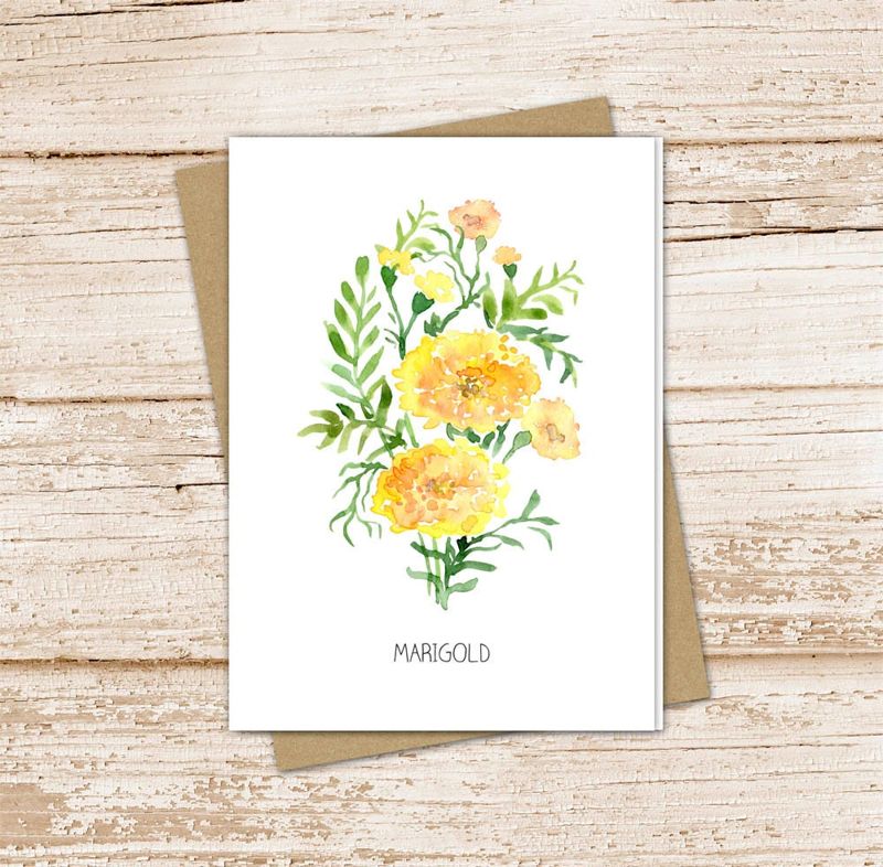 marigold card set . watercolor flowers . october birth month . floral note cards . nature garden . blank cards, folded stationery