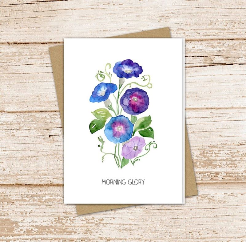 morning glory card set .  watercolor flowers . september birth month . floral note cards . botanical garden . blank cards, folded stationery