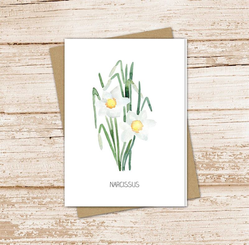 narcissus card set . watercolor flowers . december birth month flower . floral note cards . nature garden . blank cards, folded stationery