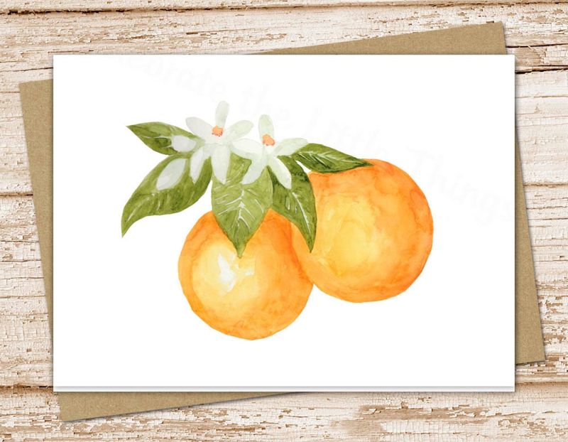 oranges  & flowers card set . watercolor orange cards . citrus fruit, nature, leaves, floral. note cards .  folded stationary, blank cards