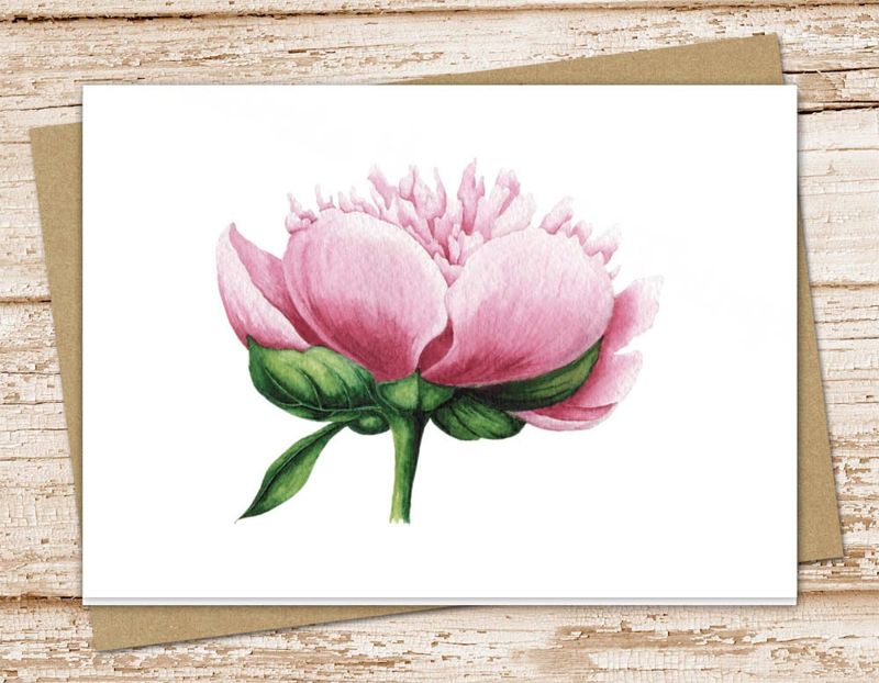 peony flower card set . watercolor pink peony . botanical floral note cards, notecards . folded stationery stationary, blank cards