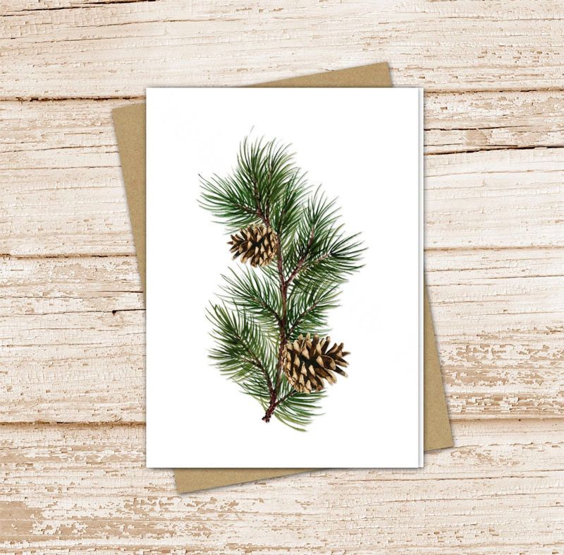 pine branch card set . watercolor pine cones note cards . evergreen tree, outdoors, nature blank cards . folded stationery stationary set