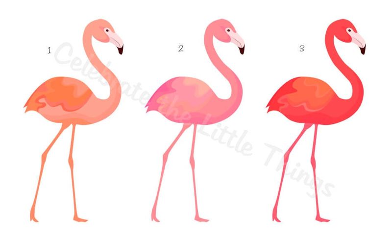 personalized note cards . PINK FLAMINGO . folded notecards . personalized stationery . tropical bird stationary . set of 10