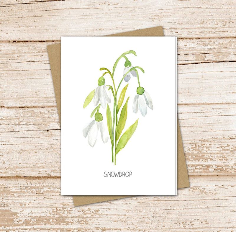snowdrop card set .  watercolor flowers . january birth month floral note cards . botanical nature garden . blank cards, folded stationery
