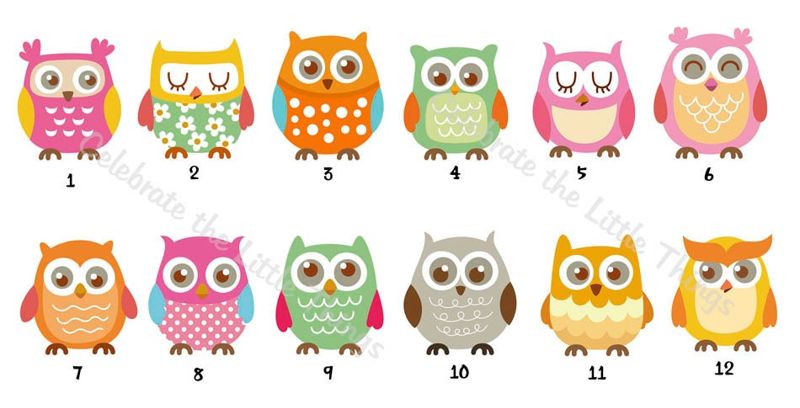 owl note cards notecards . folded personalized stationery stationary . blank cards . owl choices . set of 10