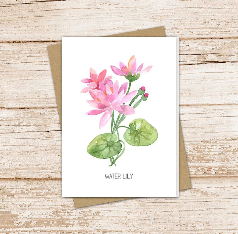 Water Lily Card Set