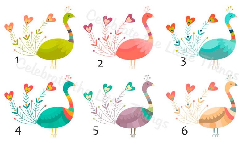 personalized notepad . PEACOCK notepad . peacock note pad . personalized stationery . bird stationary