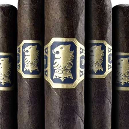 Undercrown Maduro by Drew Estate Gordito (pk/5)