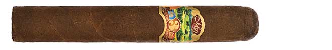 5 x 50 Robusto