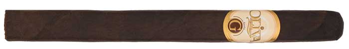 7 x 50 Churchill
