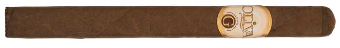 7 x 50 Churchill