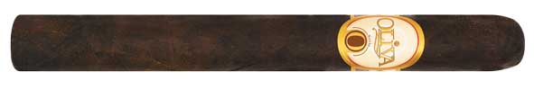7 x 50 Churchill