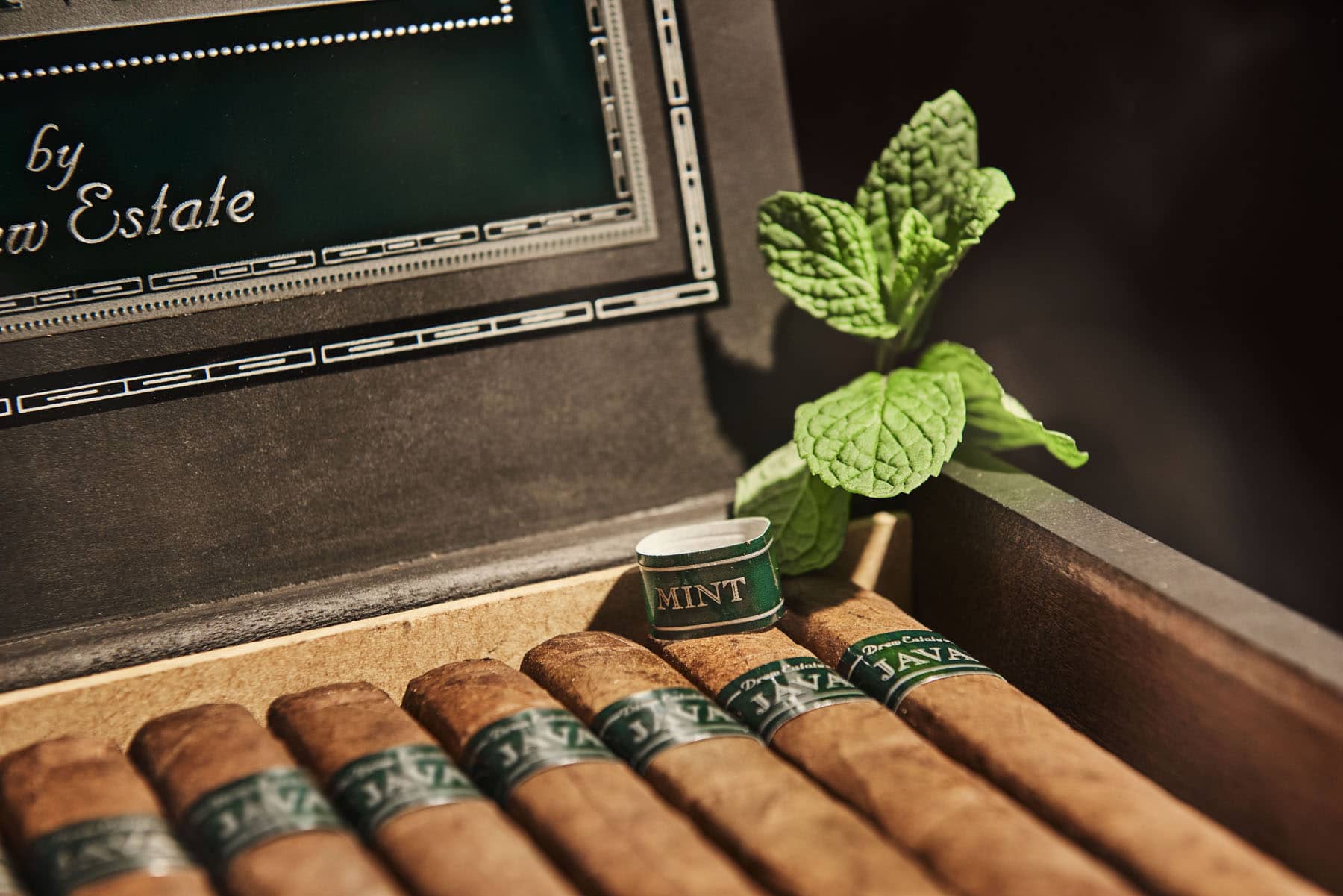 Cigar Rocky Patel Java Mint 4