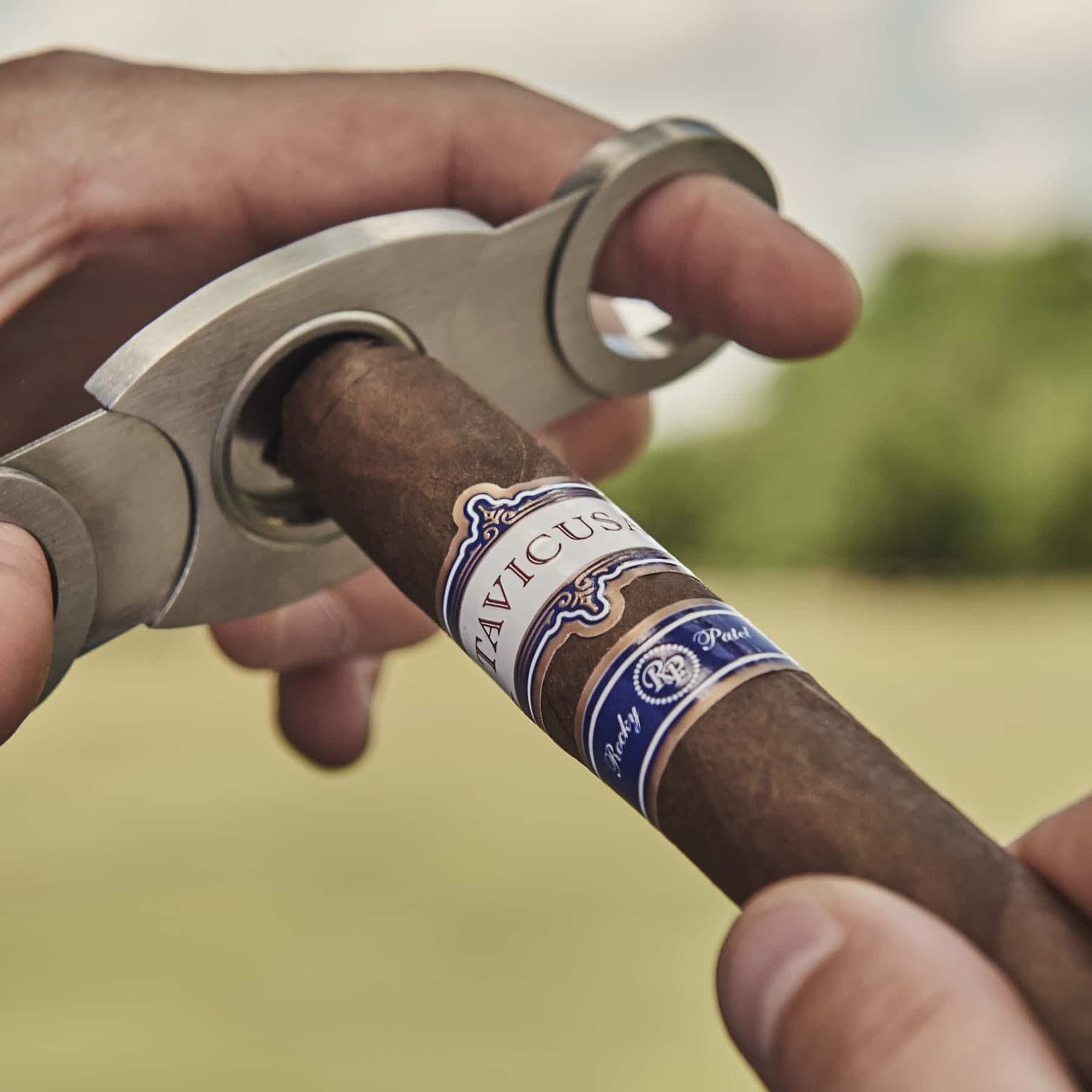 Cigar Rocky Patel Tavicusa 4