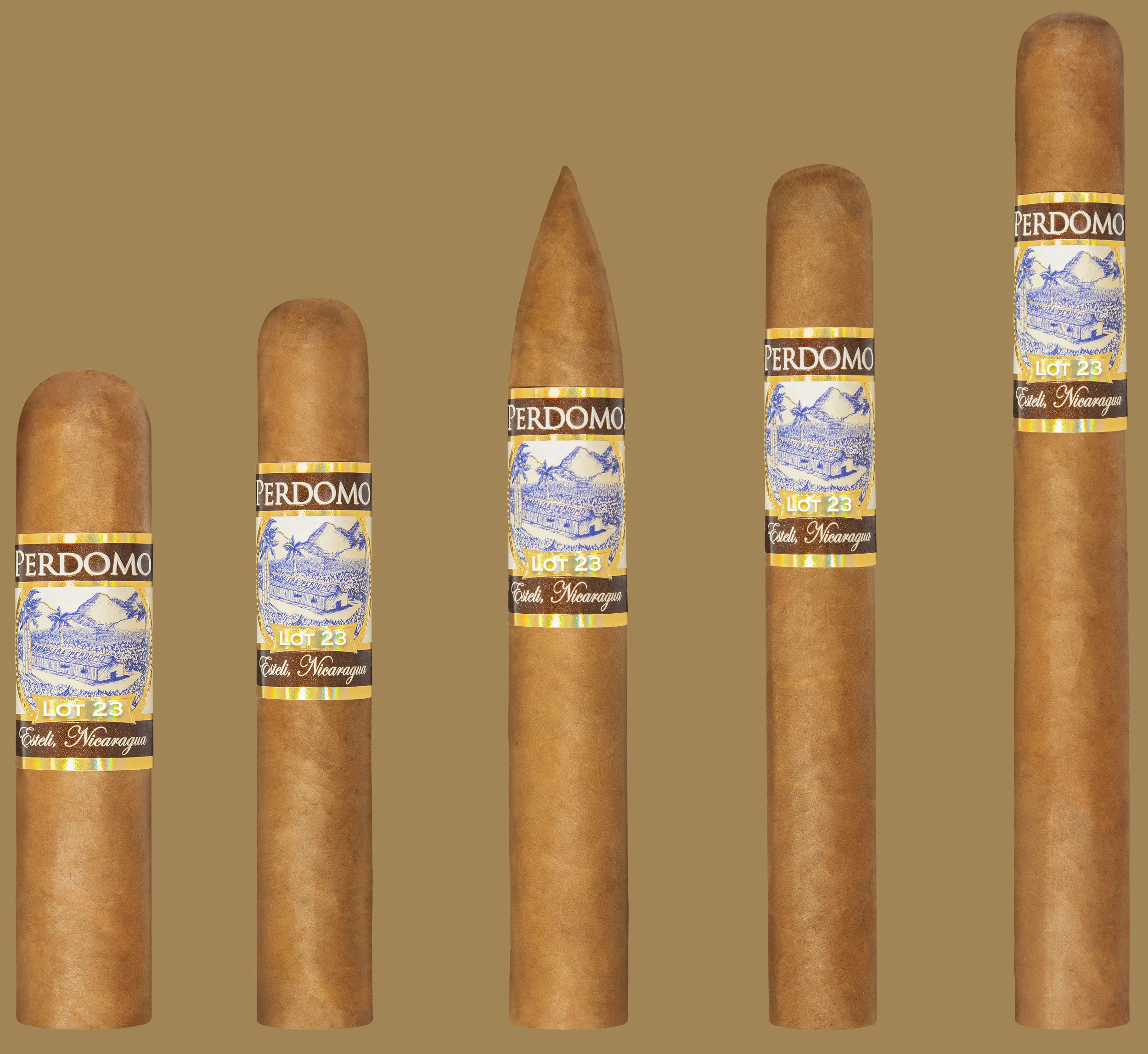 Lot 23