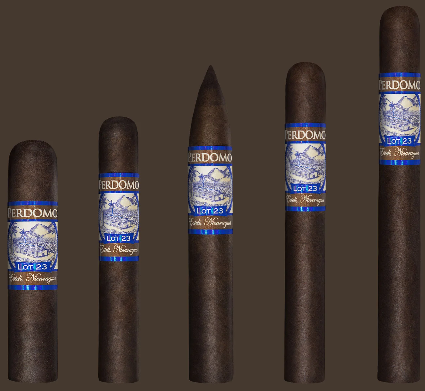 Lot 23