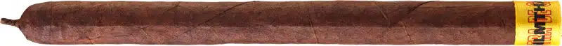 #NLMTHA primary image