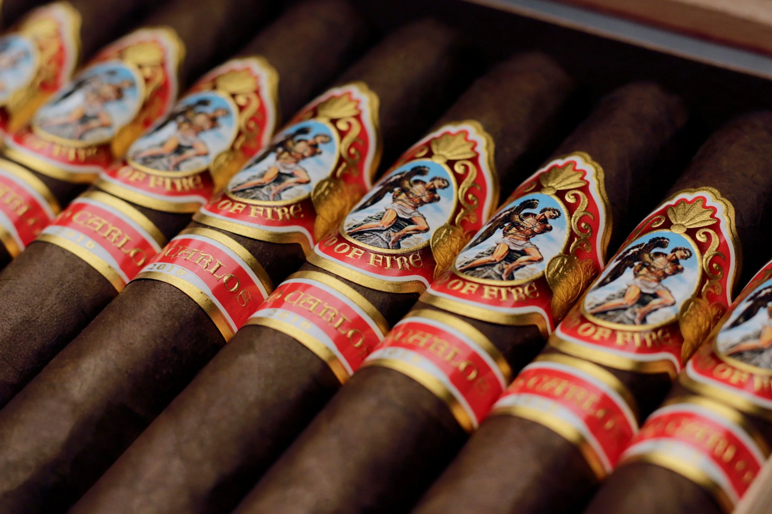 don carlos banner pic.jpeg