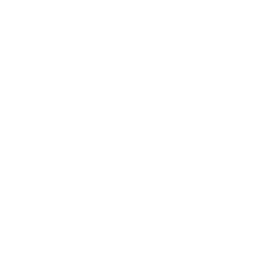 Onyx Vintage Nicaragua logo