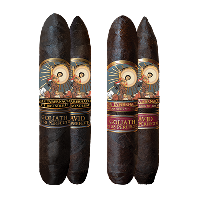 David & Goliath primary image