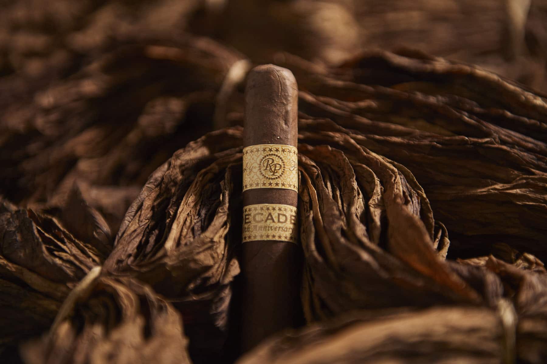 Rocky Patel Decade