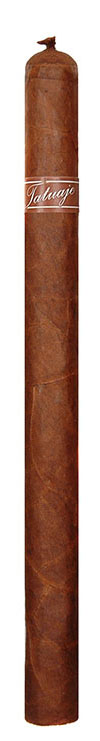 Single brown Tatuaje cigar with white band and pig-tail cap on a white background.