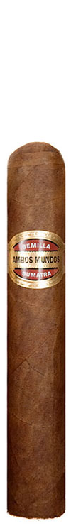 Ambos Mundos primary image