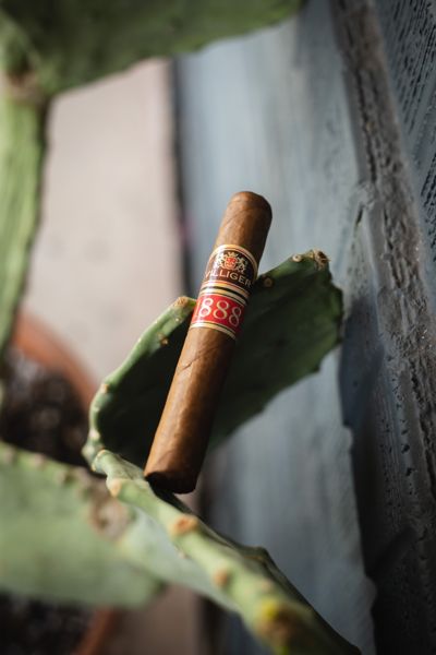 Villiger 1888 Dominican Republic