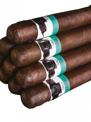 Asylum Schizo Maduro