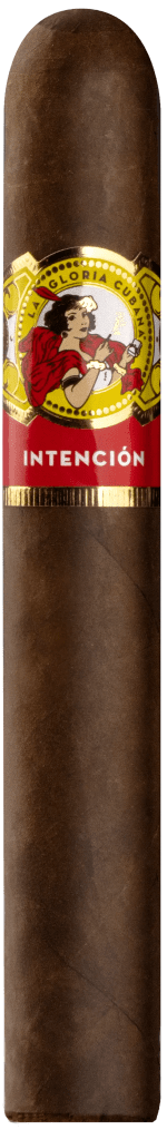 Intención Stick Image