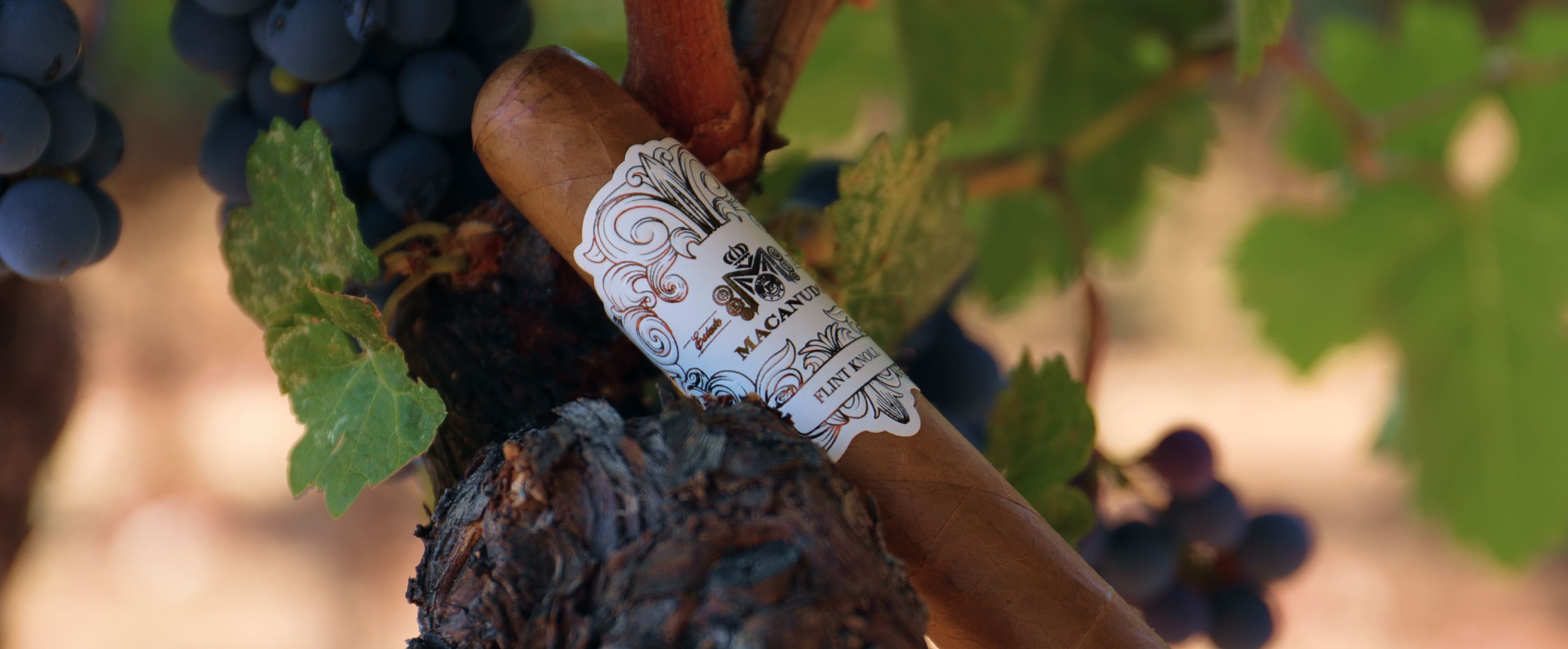 Macanudo Estate Reserve Release No. 1