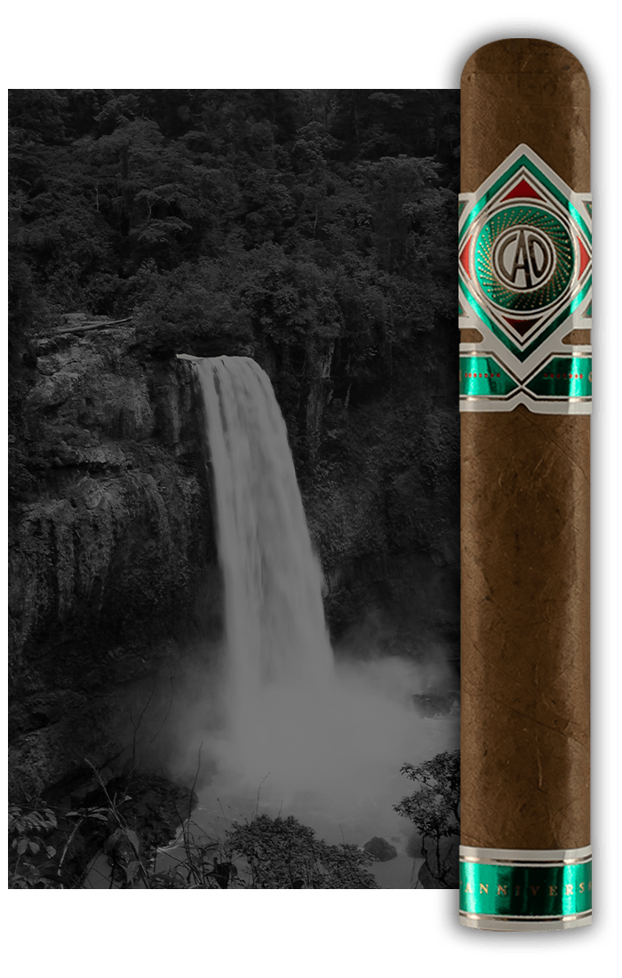 CAO Cameroon Stick Image