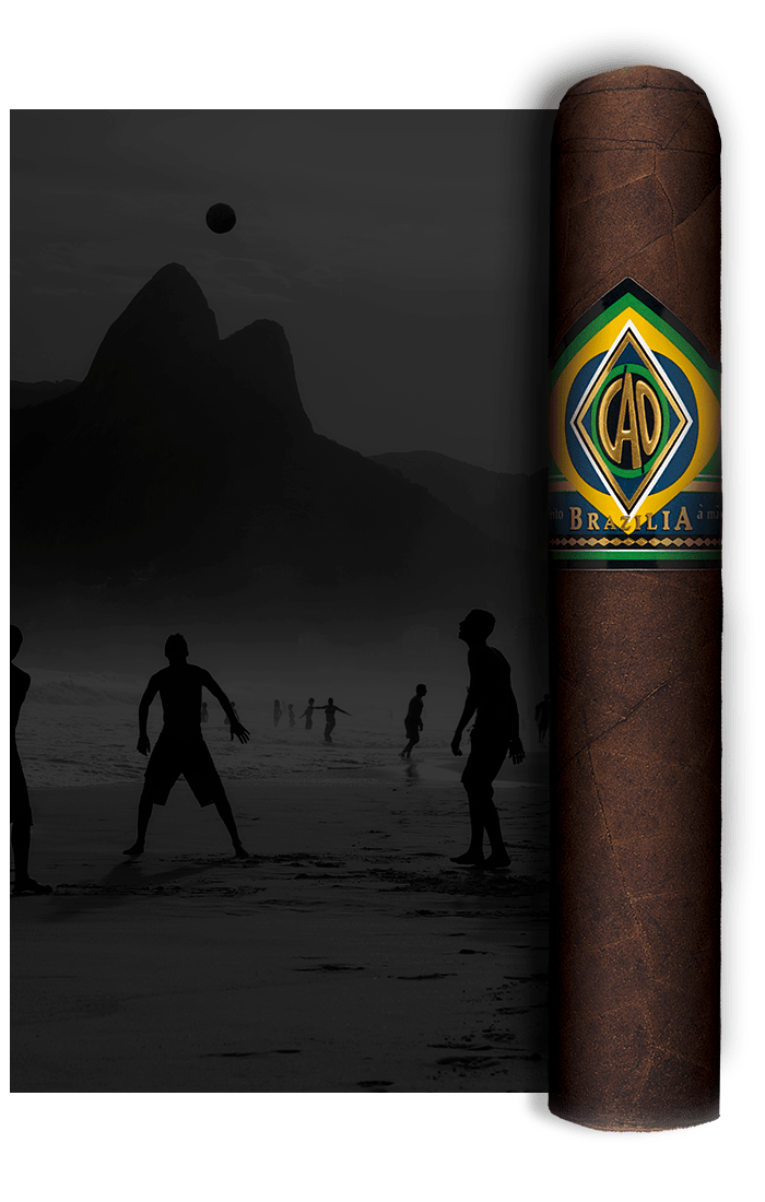 CAO Brazilia Stick Image