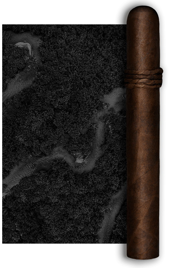 CAO Amazon Basin Stick Image