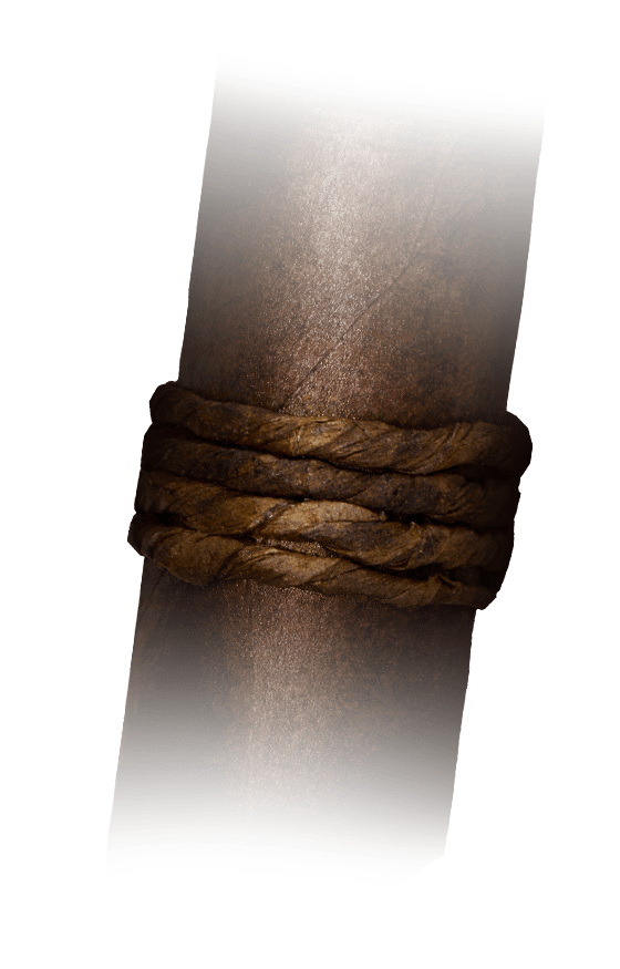 CAO Amazon Basin Band Image