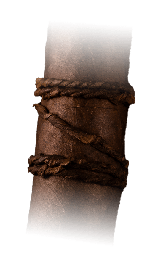 CAO Orellana Band Image