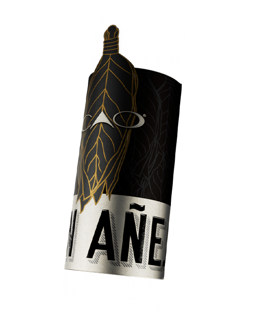 Pilón Añejo Band Image