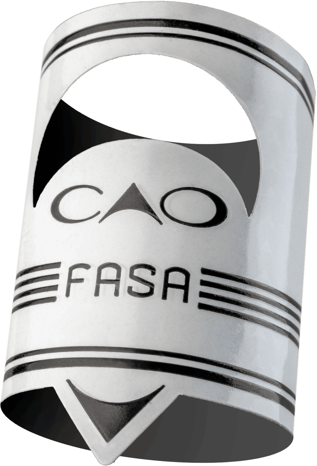 FASA Noche Band