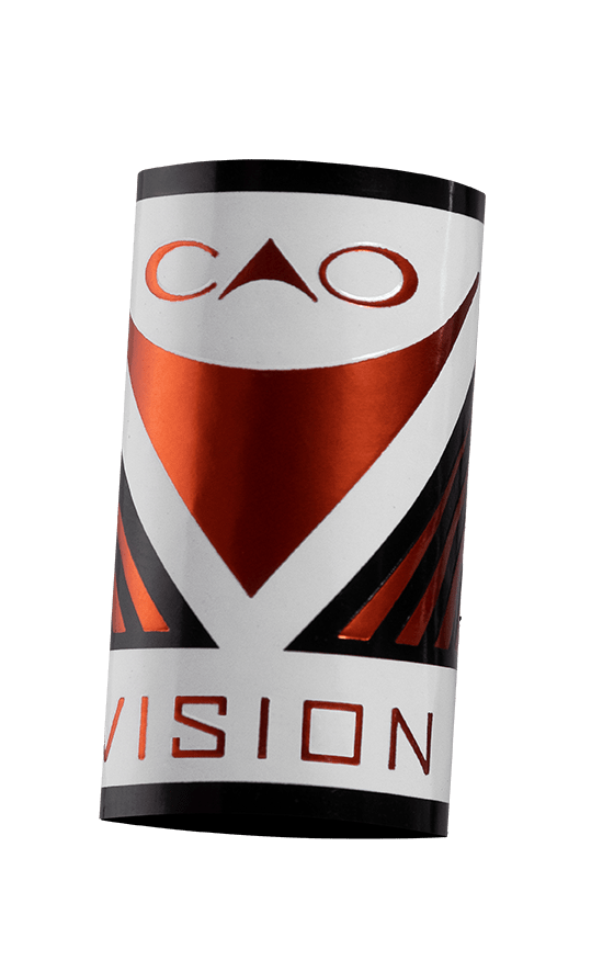 Vision 2022 Band Image
